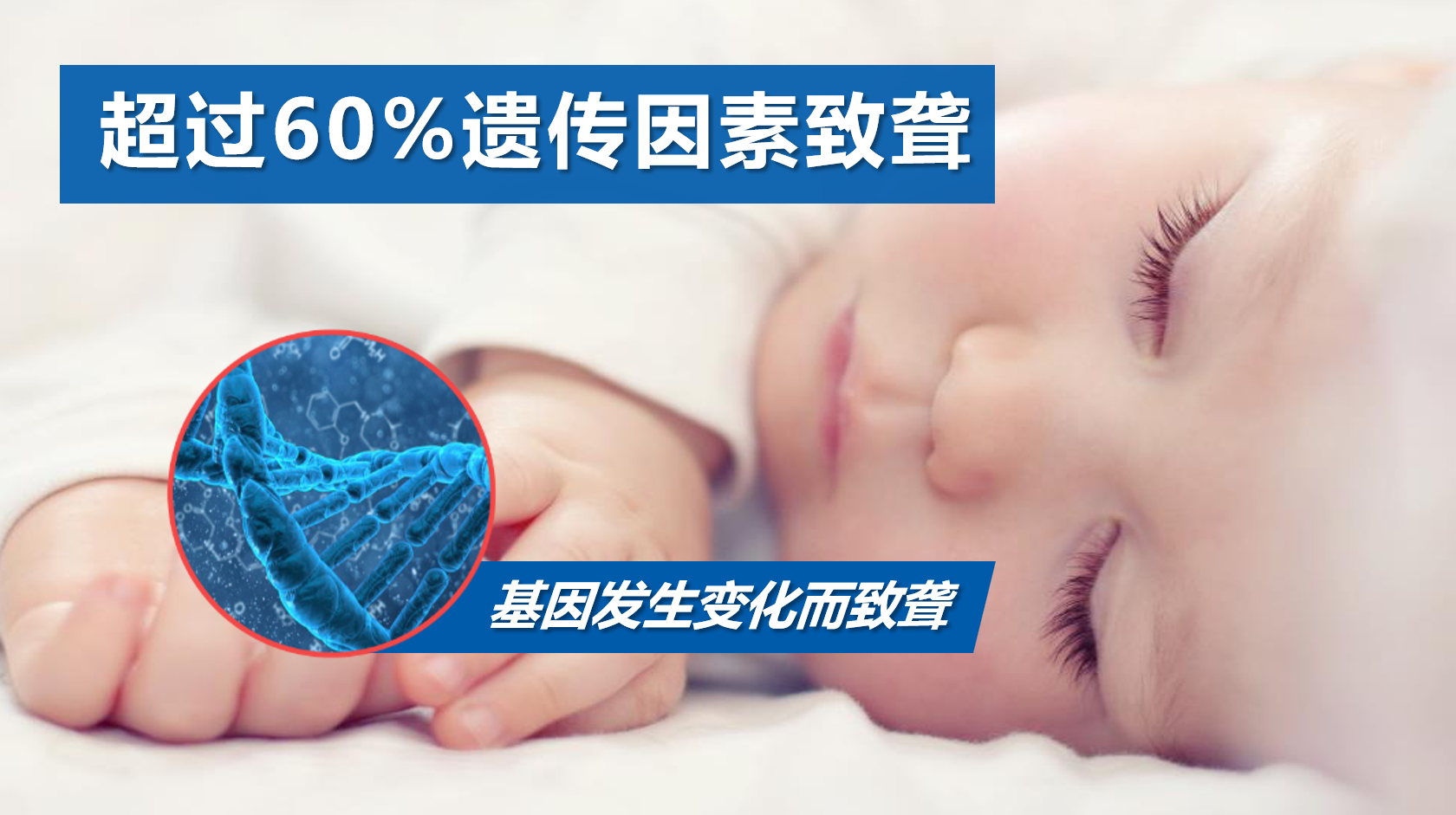 1791606068591308.png 耳聋-基因致聋.png