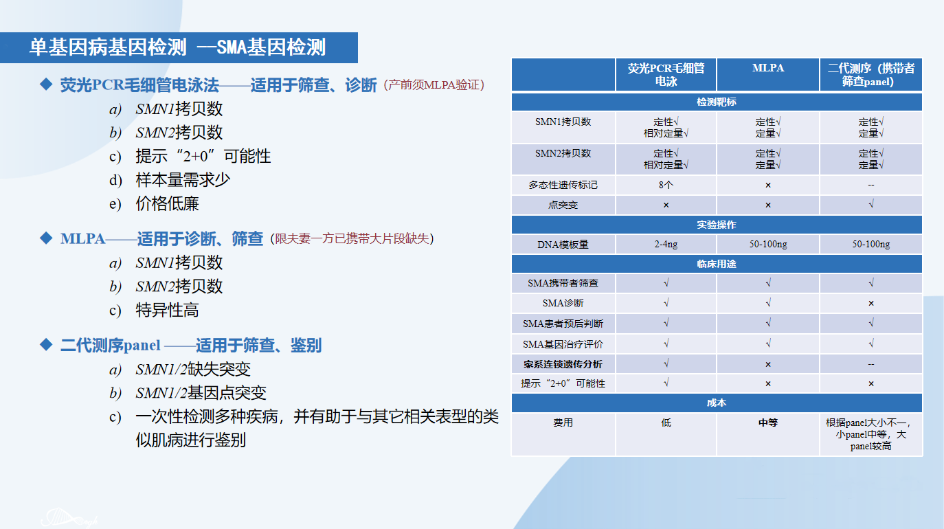 1791641327744954.png 单基因病基因检测-SMA基因.png