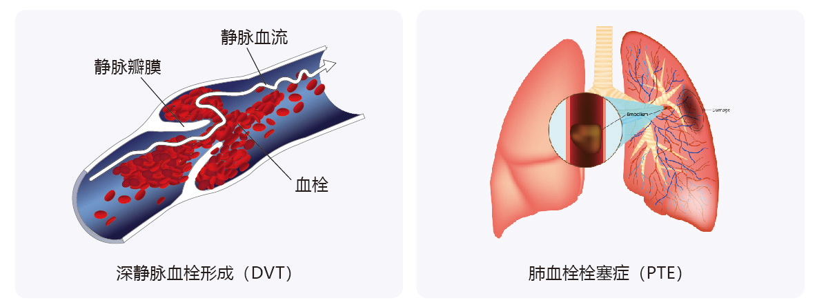 1791643129750114.png 图片1.png